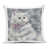 Chat gris