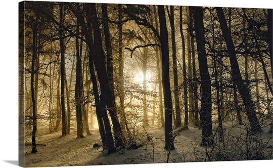 «Straub Winter Morning» par Norbert Maier - reproduction de photo, H 12 po x l 19 po x P 1,5 po, Toile