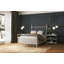 151 Palatial Bed | Complete Standard-255711732-255711737