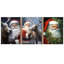 3 Piece Wrapped Canvas Wall Art-830263098