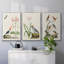 Oiseaux antiques dans la nature IV, 3 pièces-1662166644-1662166649