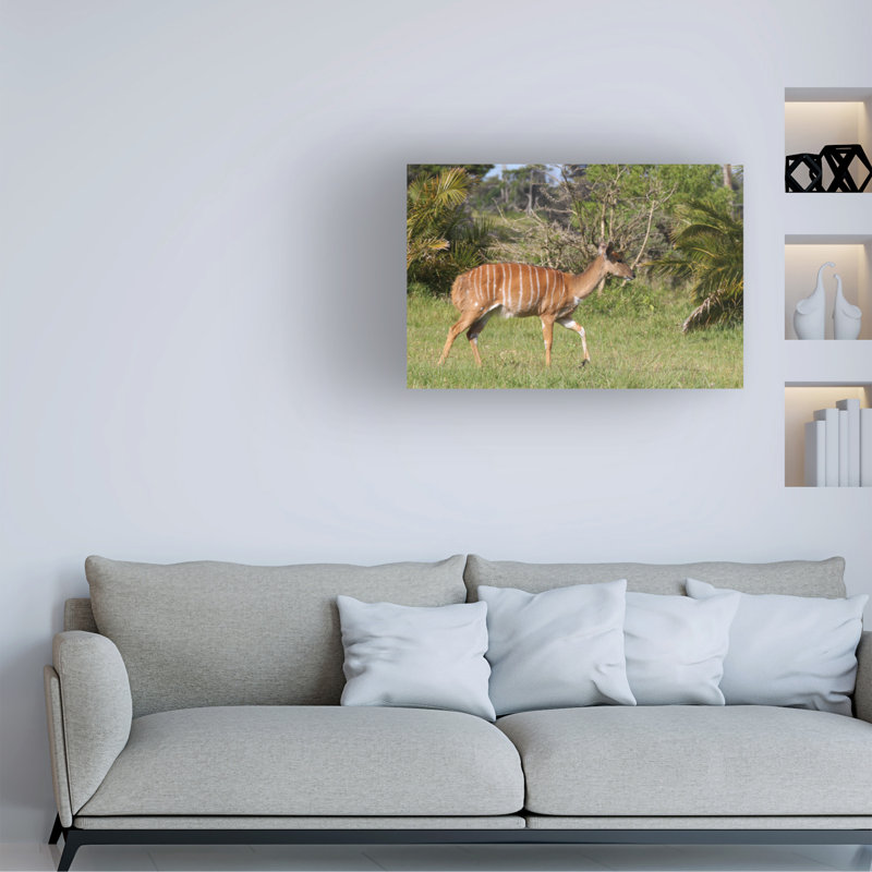 Art sur toile, Bob Bob Langrish Nyala, H 16 po x l 24 po