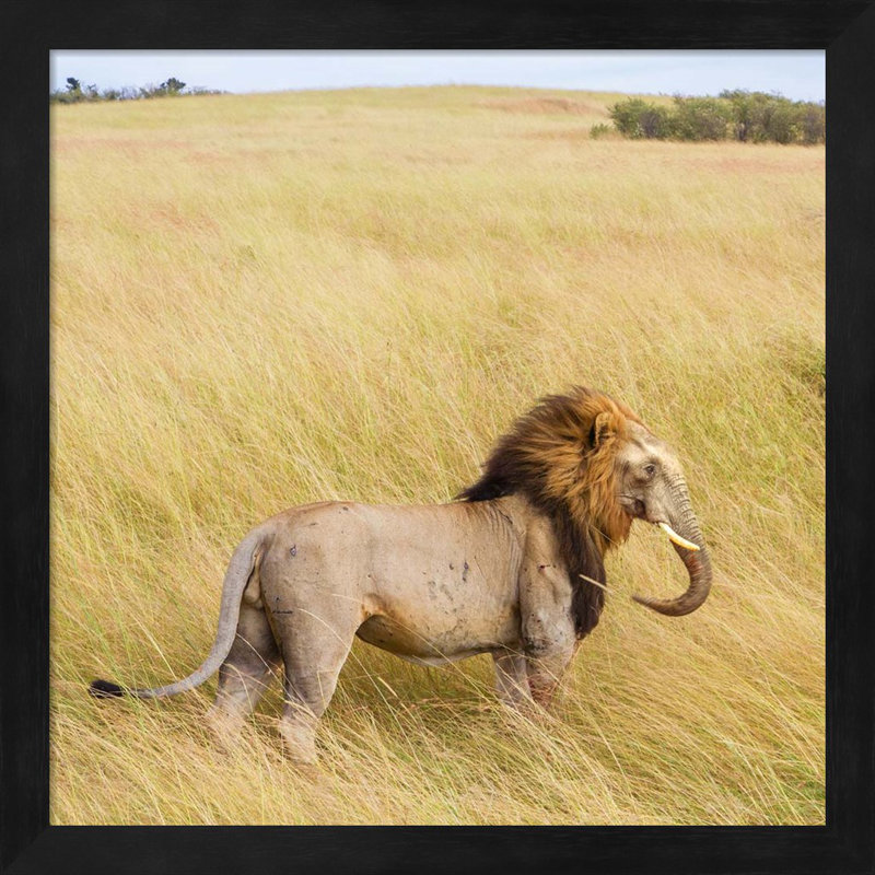 Lionphant par Pixelmated Animals - impression encadrée