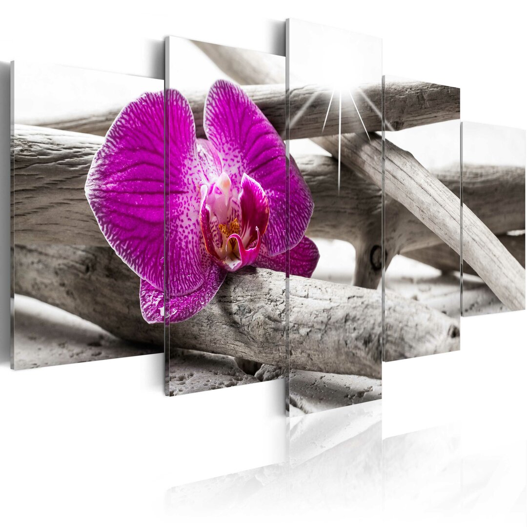 5-tlg. Leinwandbild-Set Orchid on Beach