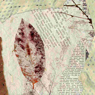 " Leaf Collage 7 "