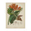 « botaniques iii », reproduction d’impression sur toile tendue-33520859