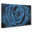 Pretty Blue Rose - Wrapped Canvas-56630148