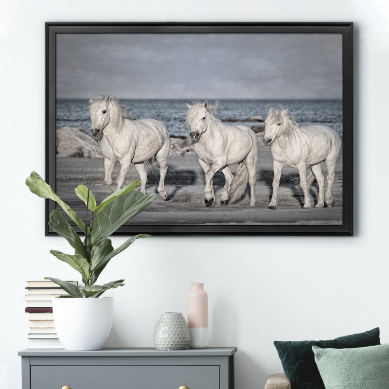 «Morning Run» - Cadre photo, impression sur toile, Noir, H 30,5 po x l 42,5 po x P 1,5 po