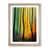 Oak