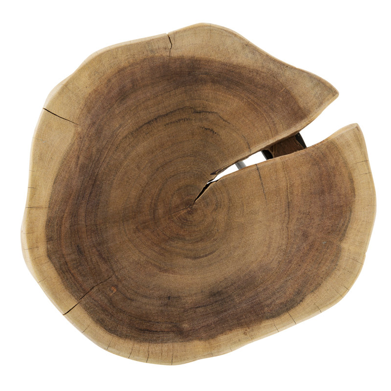 Ameyia 12 in. Round Wood and Metal End Table