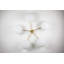 Stella 5 - Light Chandelier