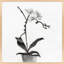 Orchid Study 1 Print by Simon Schneiderman-102004075-102004072