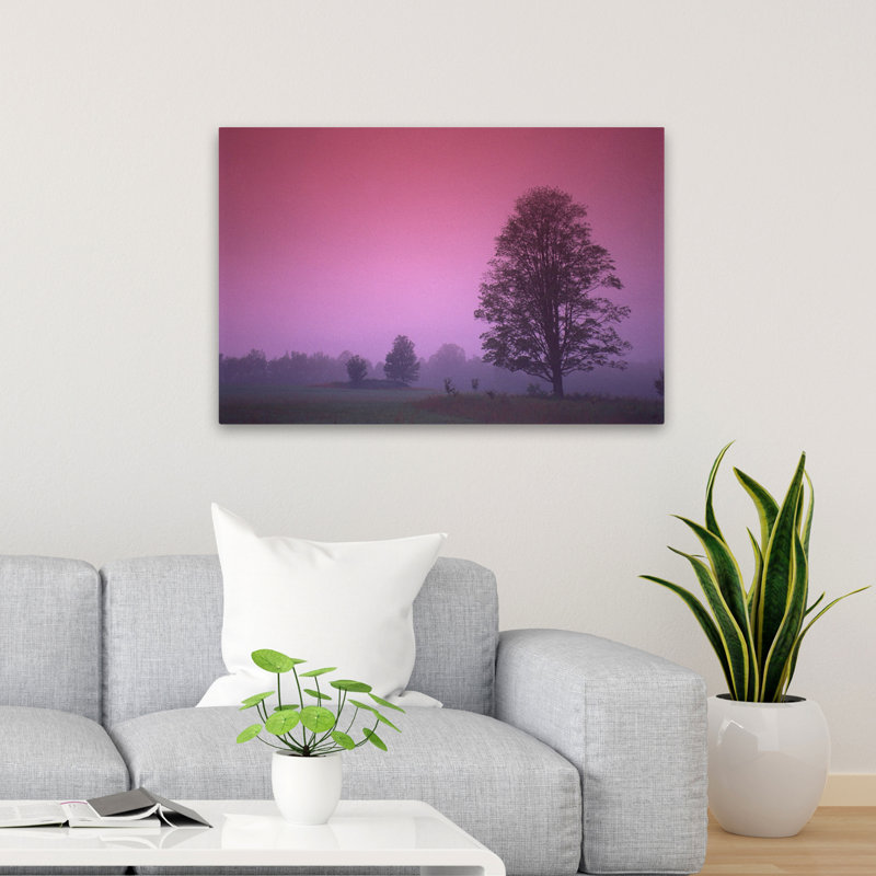 Evening Fields - Landscapes Photography Trees Art, 24" H x 36" W