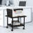 14.5'' H x 19'' W Printer Stand with Wheels-71582743