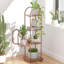 Support pour plante Tyjah