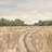Farm Field Lane by Amber Sterling-1406115954