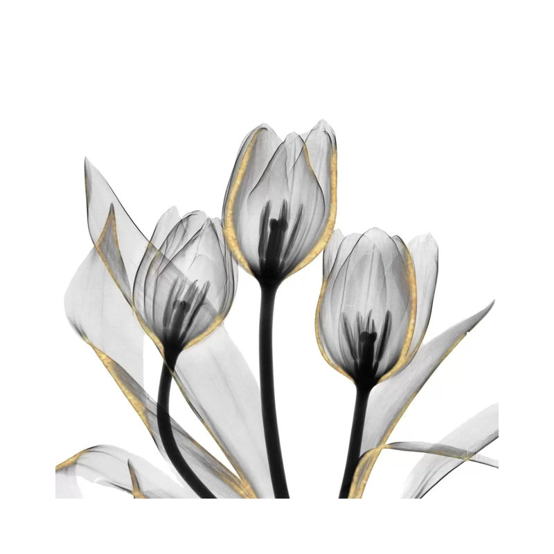 Gold Embellished Tulips V by Albert Koetsier - Wrapped Canvas Print, 30.48 cm H x 30.48 cm W