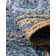 Gleason Cotton Geometric Indoor Rug
