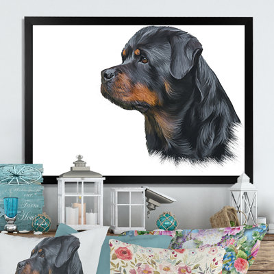 " Drawing Of The Dog Rottweiler "