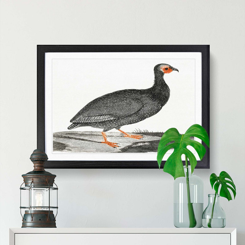 Guinea Fowl by Johan Teyler - Picture Frame Painting Print, 36cm H x 48cm W x 2cm D, Black Framed