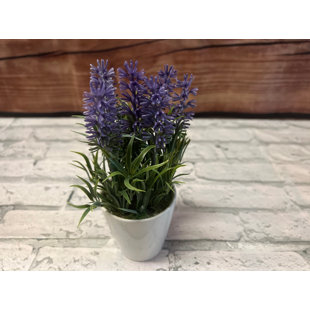 Lavender Arrangement in Pot