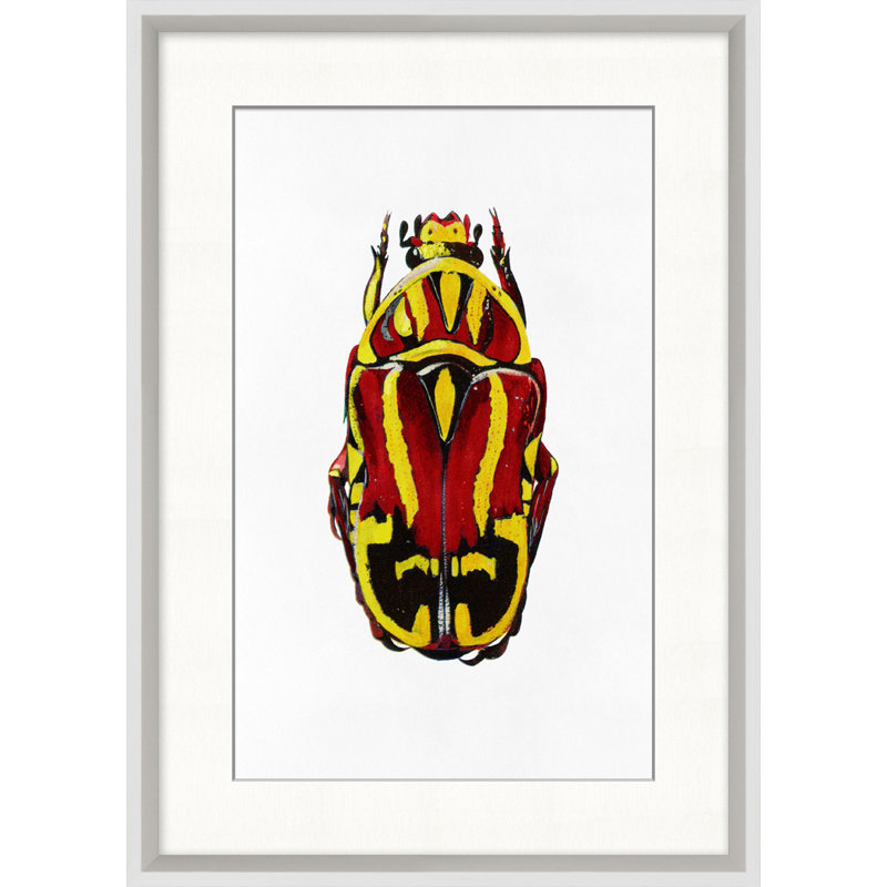 Rainbow Insect 5 Wall Art & Signage by Lillian August