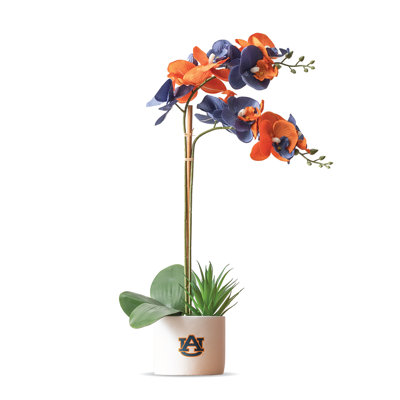 Silk Orchids Arrangement in Vase