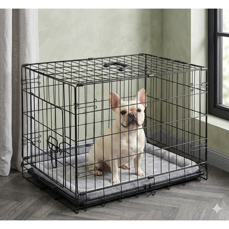 Single Door Metal Wire Pet Kennel for Medium Dogs, 24-Inch Size, Includes Plastic Leak-Proof Pan Tray, Foldable Design Suitable for Indoor, Outdoor, and Travel Use
