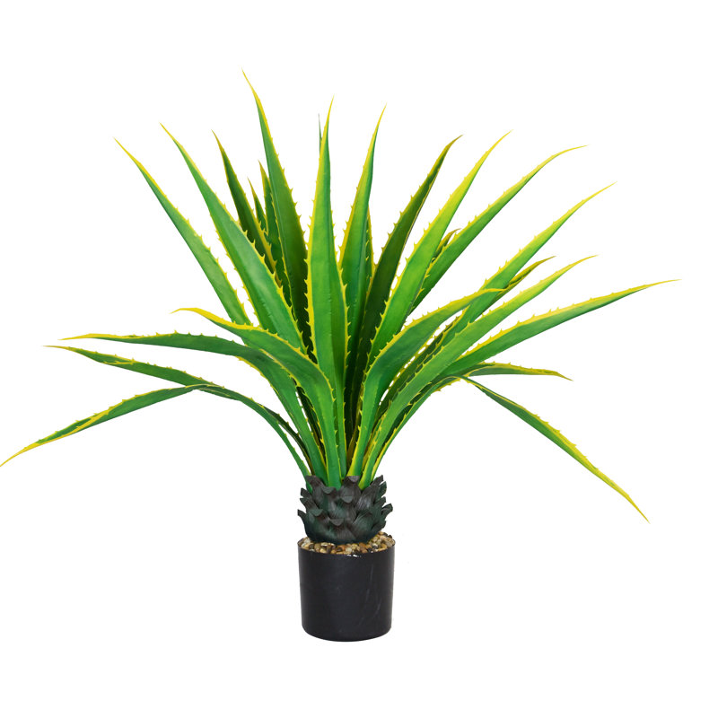 Agave Panama Real Touch en pot