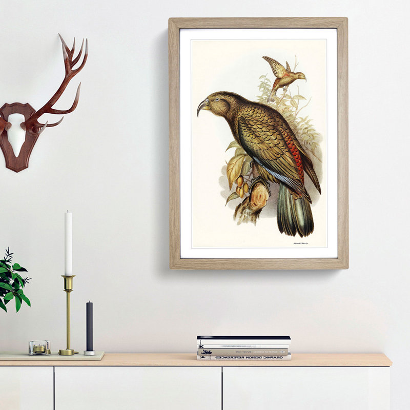 Kea Parrot by Elizabeth Gould - Picture Frame Graphic Art Print, 48cm H x 36cm W x 2cm D, Oak Framed