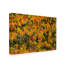 «Vermonts Glory» par Brenda Petrella - reproduction de photo sur toile-31974321