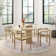 Gelo Oriental Indoor Rug