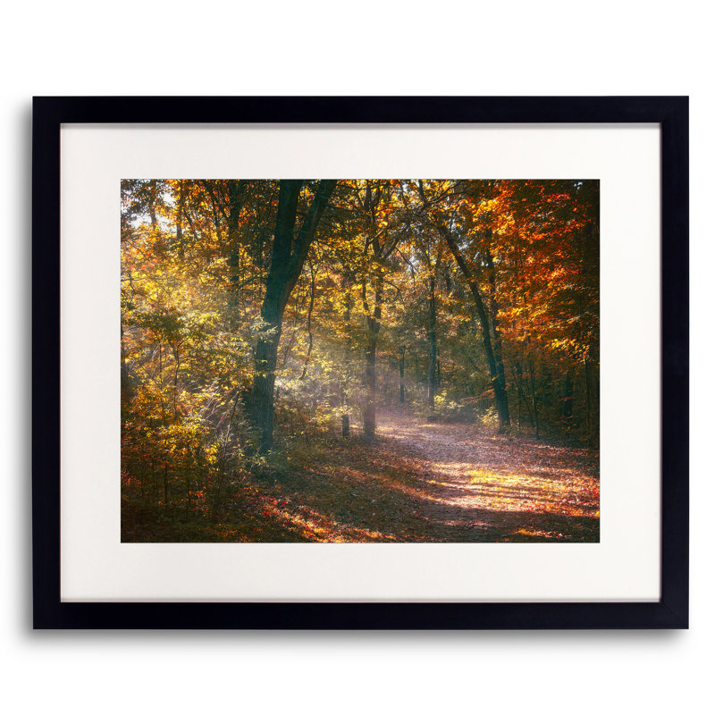 Autumn Path Print by Scott Norris, Black Framed Paper, 16" H x 20" W
