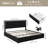Athanasius Storage Platform Bed with Leather Upholstered Adjustable Headboard and LED Lights-1348519633-1356800846