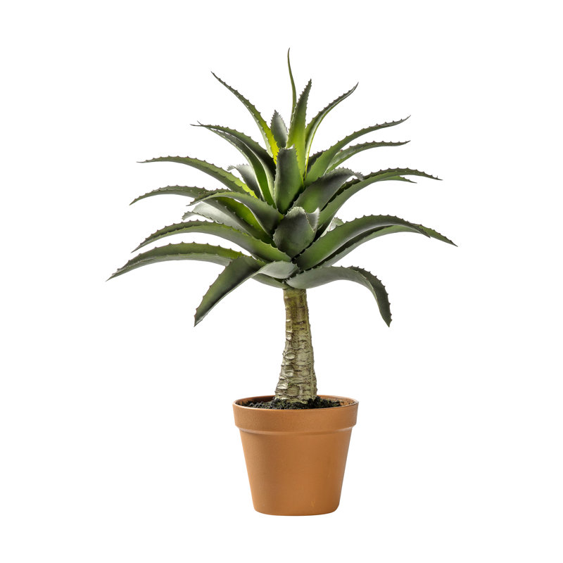 57cm Faux Succulent Plant in Pot Liner