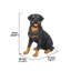Statue assis rottweiler