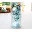 Tim Burton's Corpse Bride Emily 20-Ounce Carnival Cup With Lid and Straw