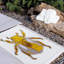 Beatle Towel-1876282659