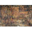 Tapis rustique d'aspect vieilli 7 x 10 avec une touche artistique moderne
