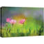 Flower Blossom "Smudge Pink Daisies In Field" sur toile-99543101
