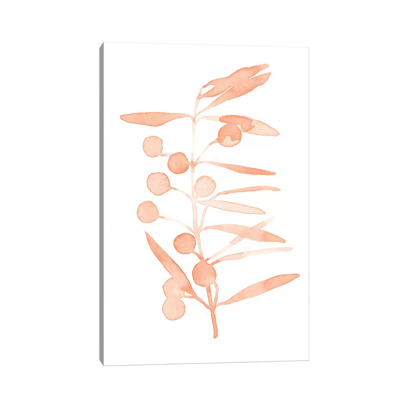 Blush Olive Branch II by Emma Scarvey - Wrapped Canvas Painting, 20.32 cm H x 30.48 cm W