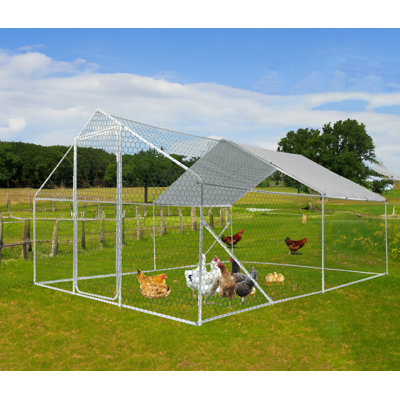 Large Heavy Duty Metal Walk-in Poultry Cage Chicken Runs With Rain Cover