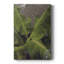 «Dramatic Leaves III», impression sur toile tendue-1230008743