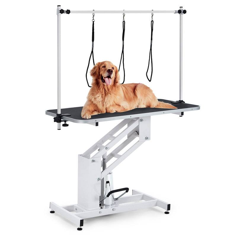 Table de toilettage robuste pour animaux avec charge maximale 350lbs