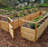 8 ft. W x 16 ft. D Cedar Garden in a Box