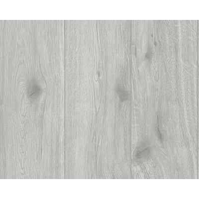 Moshannon Abstract Double Roll