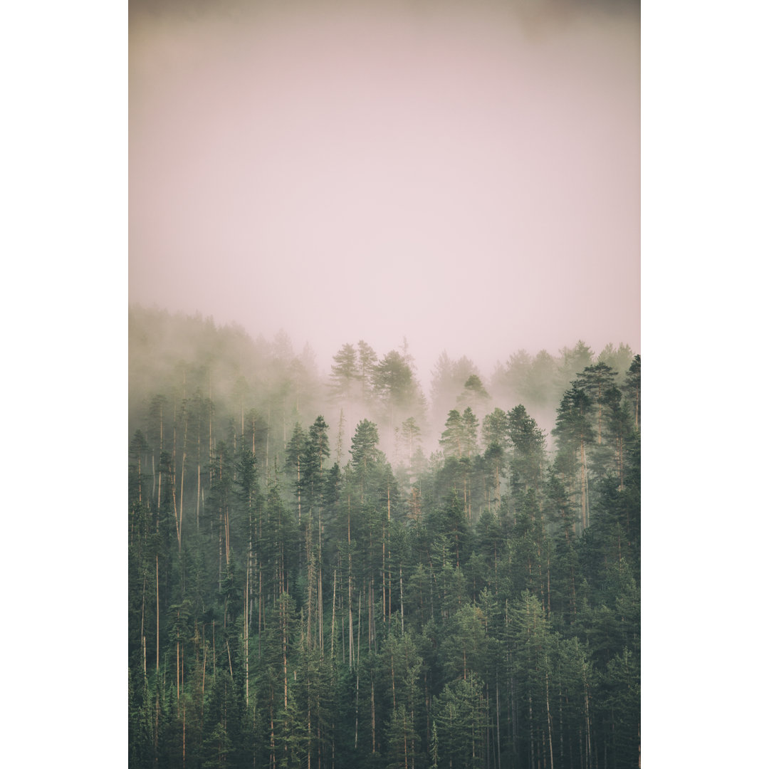 Nebel und Wolken am Berg von Miljko - Leinwandbild