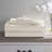 Wayfair Basics® 1800 Series Soft Microfiber Sheet Set-98458529-59969087