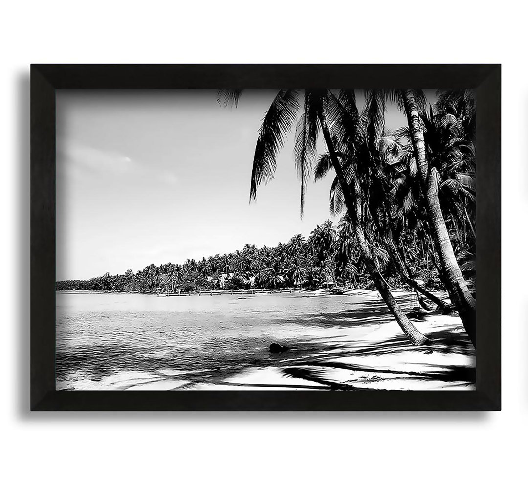 Gerahmtes Leinwandbild Beach Palms