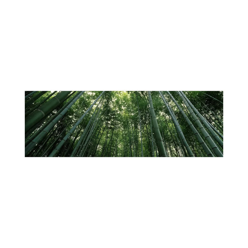 Low Angle View Of Bamboo Trees, Arashiyama, Kyoto Prefecture - Wrapped Canvas Panoramic Print